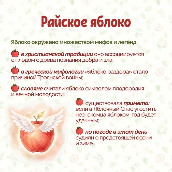 Яблочный спас без вз 4