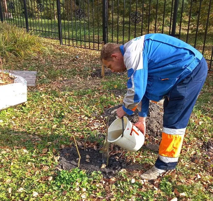 photo_2024-09-28_16-50-53