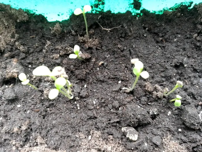 Image 2023-05-02 at 15.25.02