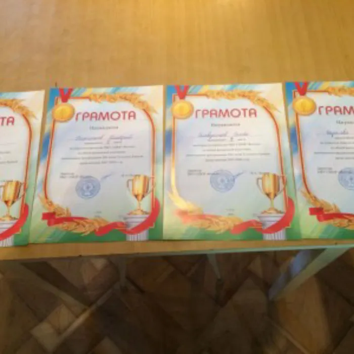 Открытое первенство МБУ СШОР «Восток» по общей физической подготовке, посвящённое празднованию 500-летию Тульского Кремля