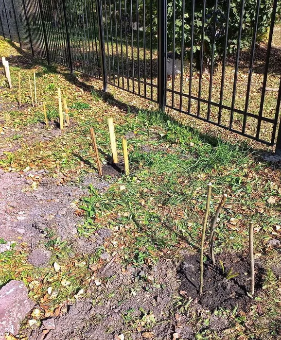 photo_2024-09-28_16-50-58