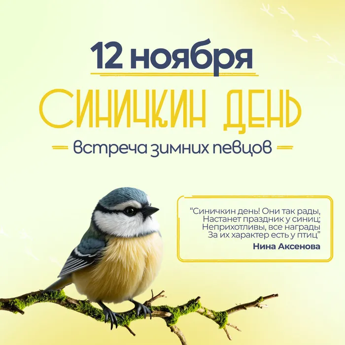Синичкин день – праздник доброты и заботы о птицах!