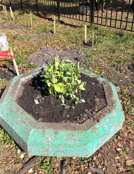 photo_2024-09-28_16-51-26