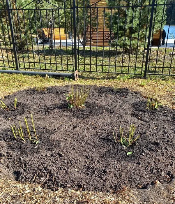 photo_2024-09-28_16-51-35